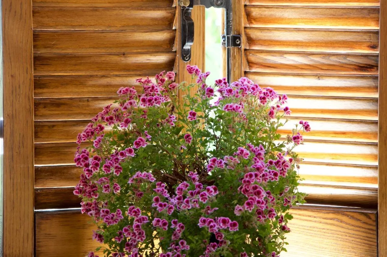 Apartmán Le Dimore Arcangelo Maria Assisi